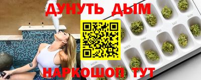 стаф Пенза